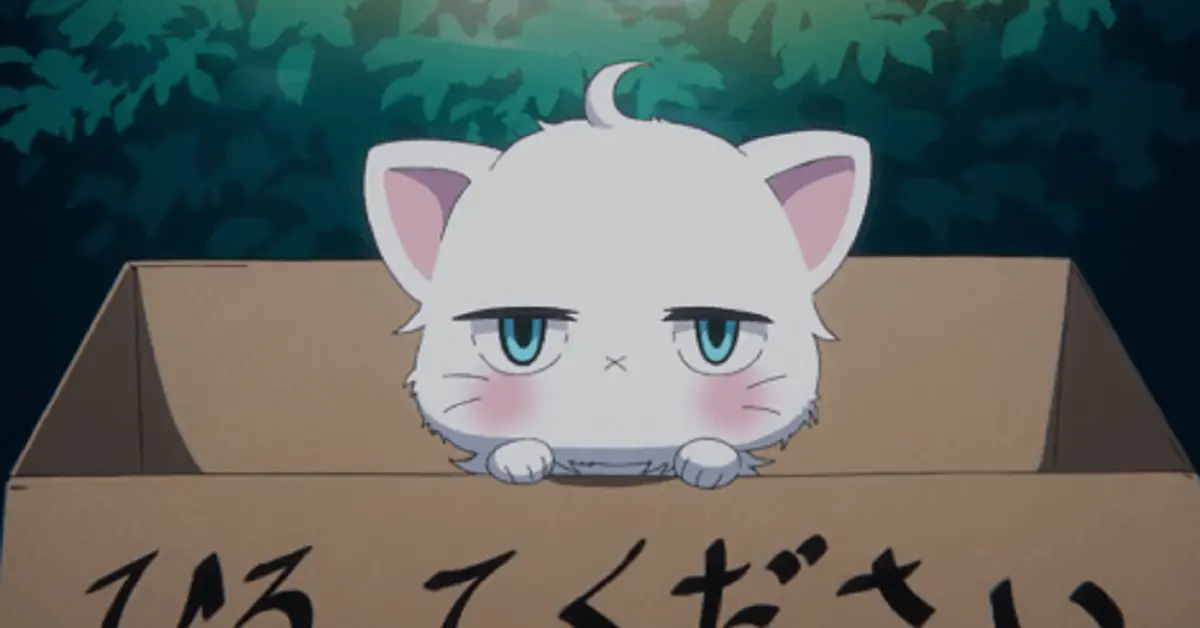 anime:5vnlw021cuy= cat